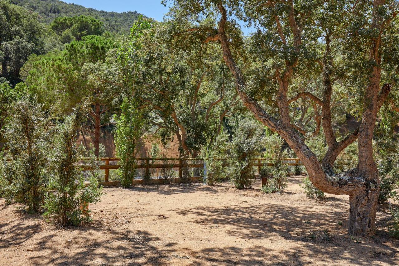 Pola Giverola Camp Tossa de Mar Exterior foto